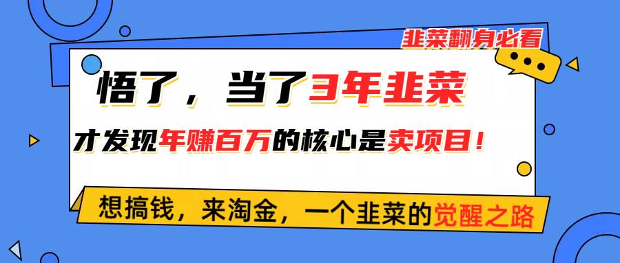 悟了，当了3年韭菜，才发现网赚圈年赚100万的核心是卖项目，含泪分享！去创吧-网创项目资源站-副业项目-创业项目-搞钱项目去创吧
