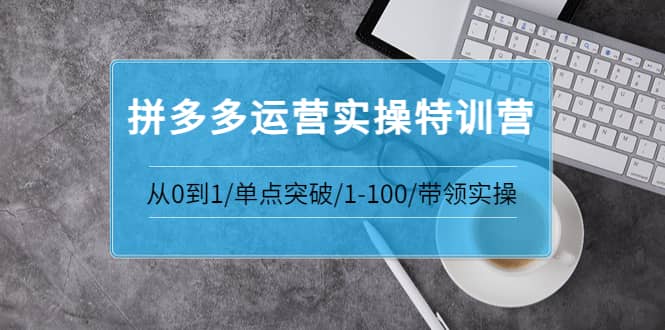 拼多多运营实操特训营：从0到1/单点突破/1-100/带领实操 价值2980元去创吧-网创项目资源站-副业项目-创业项目-搞钱项目去创吧