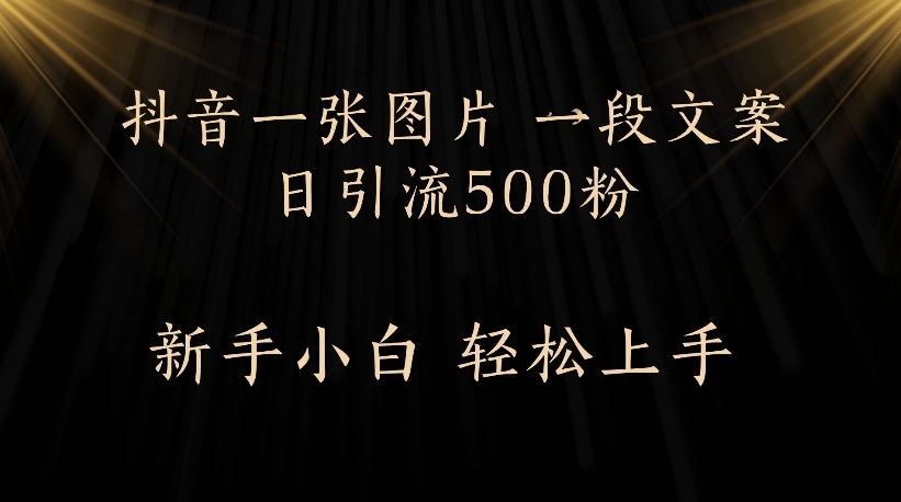抖音一张图片,一段文案日引流500粉,新手小白 轻松上手去创吧-网创项目资源站-副业项目-创业项目-搞钱项目去创吧