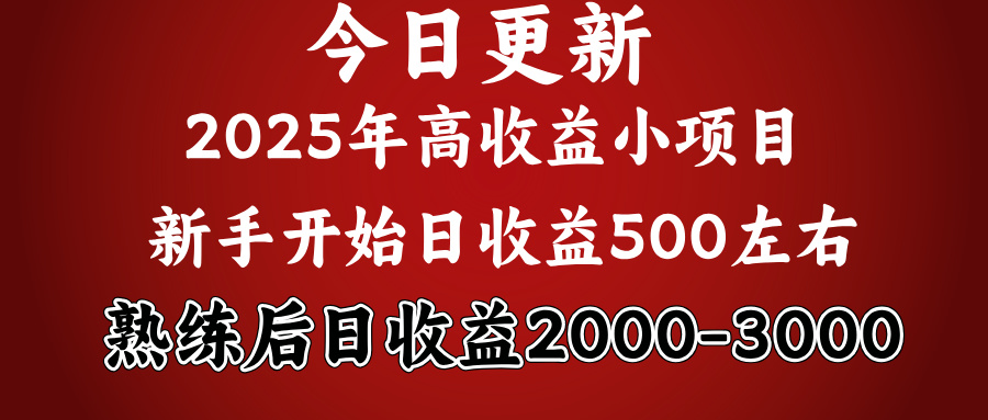 好项目一眼就能看出来,日收益1000,长久可做,2025拼的就是我比你勤奋去创吧-网创项目资源站-副业项目-创业项目-搞钱项目去创吧