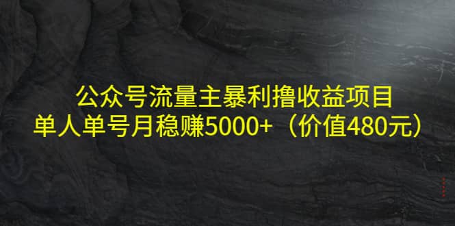 公众号流量主暴利撸收益项目，单人单号月稳赚5000+（价值480元）去创吧-网创项目资源站-副业项目-创业项目-搞钱项目去创吧