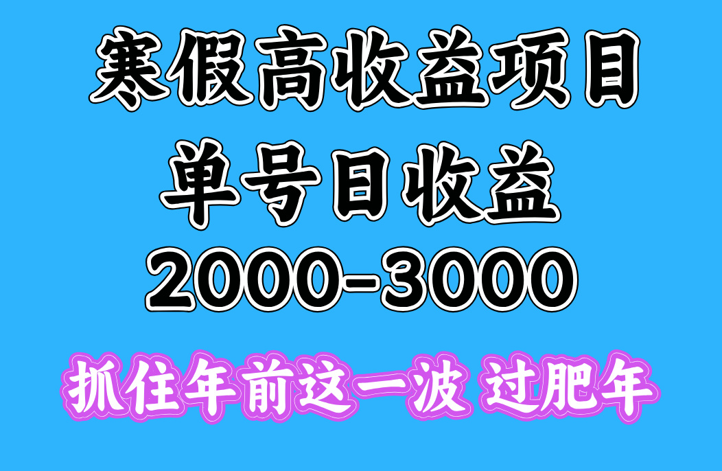 寒假期间一天收益2000-3000+，抓住年前这一波去创吧-网创项目资源站-副业项目-创业项目-搞钱项目去创吧