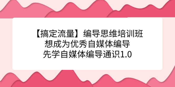 【搞定流量】编导思维培训班，想成为优秀自媒体编导先学自媒体编导通识1.0去创吧-网创项目资源站-副业项目-创业项目-搞钱项目去创吧