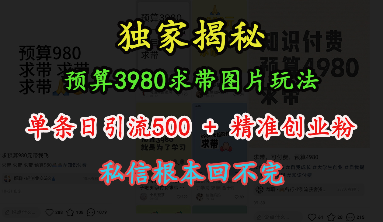 “小红书”预算3980求带 图片玩法,单条日引流500+精准创业粉,私信根本回不完去创吧-网创项目资源站-副业项目-创业项目-搞钱项目去创吧