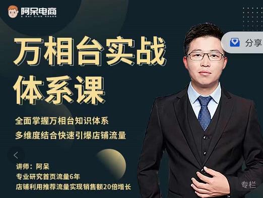 阿呆-万相台实战体系课，帮您全面掌握万相台知识体系去创吧-网创项目资源站-副业项目-创业项目-搞钱项目去创吧
