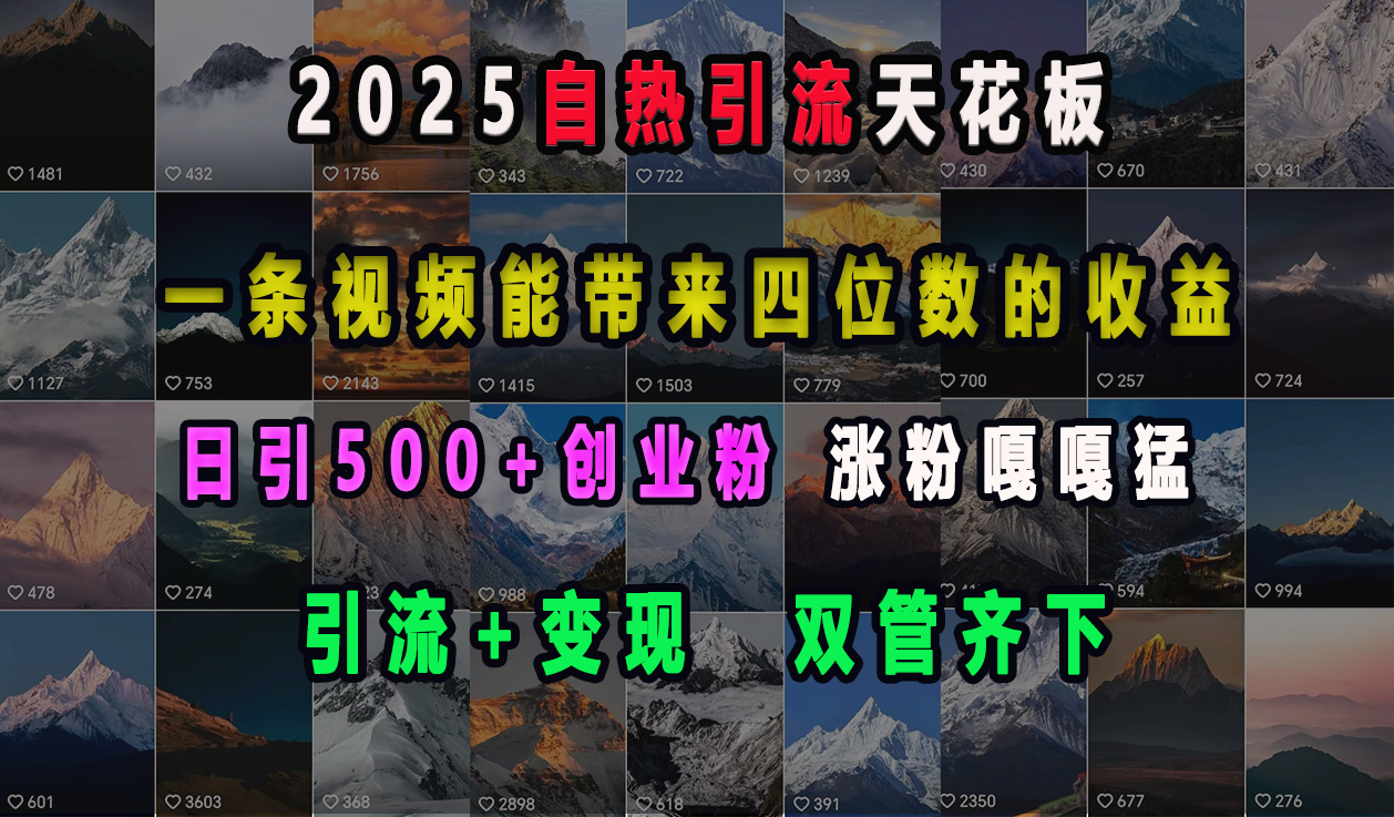 2025自热引流天花板，一条视频能带来四位数的收益，引流+变现双管齐下，日引500+创业粉，涨粉嘎嘎猛去创吧-网创项目资源站-副业项目-创业项目-搞钱项目去创吧