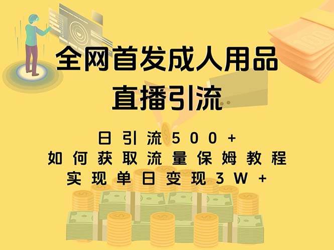 最新全网独创首发，成人用品直播引流获客暴力玩法，单日变现3w保姆级教程去创吧-网创项目资源站-副业项目-创业项目-搞钱项目去创吧
