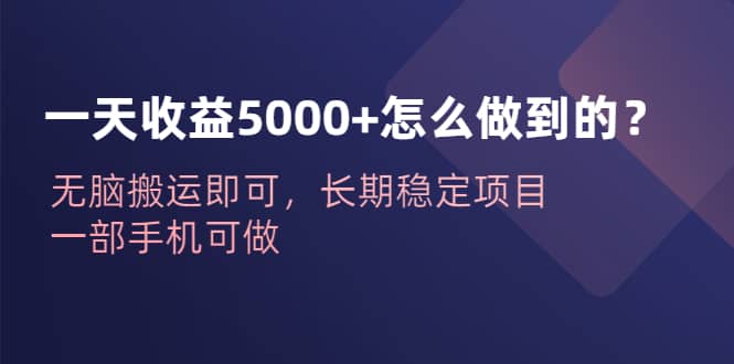 一天收益5000+怎么做到的？无脑搬运即可，长期稳定项目，一部手机可做去创吧-网创项目资源站-副业项目-创业项目-搞钱项目去创吧