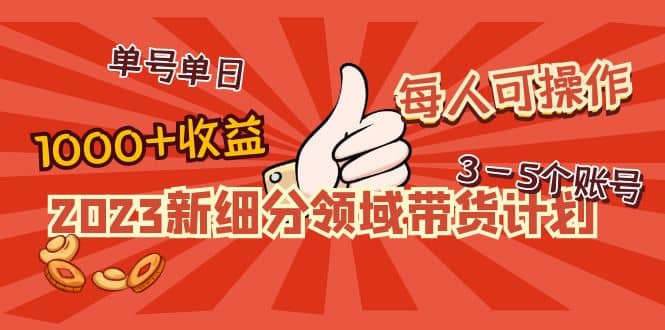 2023新细分领域带货计划：单号单日1000+收益不难，每人可操作3-5个账号去创吧-网创项目资源站-副业项目-创业项目-搞钱项目去创吧