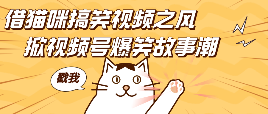 借猫咪搞笑视频之风，掀视频号爆笑故事潮，轻松日赚四位数，开启无门槛赚钱新体验！去创吧-网创项目资源站-副业项目-创业项目-搞钱项目去创吧