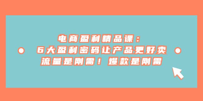 电商 盈利精品课：6大盈利 密码让产品更好卖，流量是刚需！爆款是刚需去创吧-网创项目资源站-副业项目-创业项目-搞钱项目去创吧