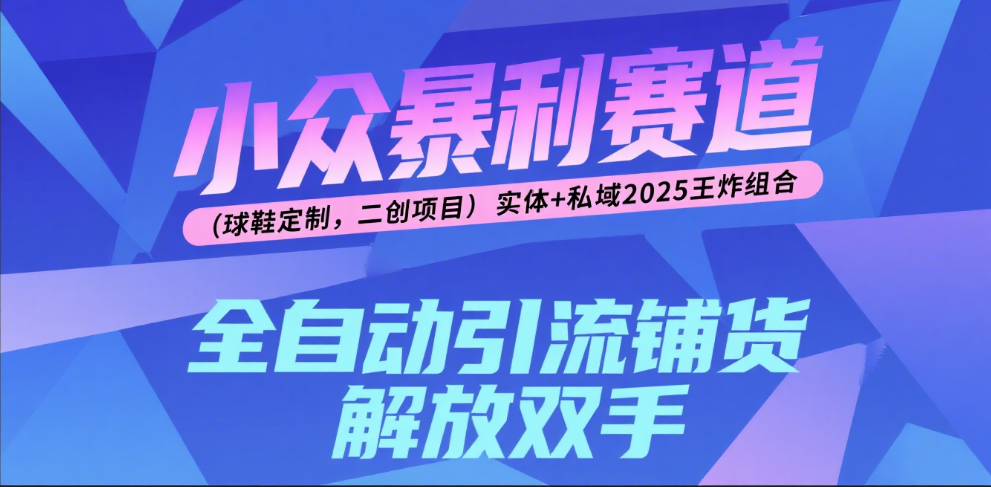 楠—小众暴利赛道（球鞋定制，二创项目）实体+私域2025王炸组合去创吧-网创项目资源站-副业项目-创业项目-搞钱项目去创吧