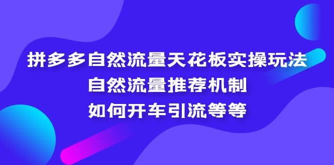 拼多多自然流量天花板实操玩法：自然流量推荐机制，如何开车引流等等去创吧-网创项目资源站-副业项目-创业项目-搞钱项目去创吧