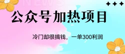 冷门公众号加热项目，一单利润300+去创吧-网创项目资源站-副业项目-创业项目-搞钱项目去创吧
