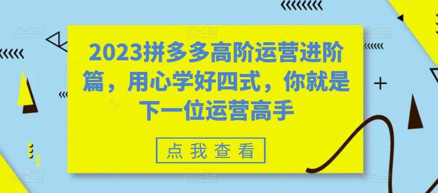 2023拼多多高阶运营进阶篇,用心学好四式,你就是下一位运营高手去创吧-网创项目资源站-副业项目-创业项目-搞钱项目去创吧