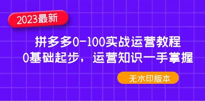 2023拼多多0-100实战运营教程，0基础起步，运营知识一手掌握（无水印）去创吧-网创项目资源站-副业项目-创业项目-搞钱项目去创吧