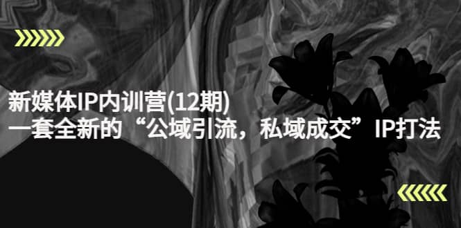新媒体IP内训营(12期),一套全新的“公域引流,私域成交”IP打法,直接带走去创吧-网创项目资源站-副业项目-创业项目-搞钱项目去创吧