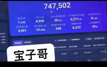 宝子哥无人直播，半无人直播，Obs+伴侣玩法，快速打标签+养鱼去创吧-网创项目资源站-副业项目-创业项目-搞钱项目去创吧