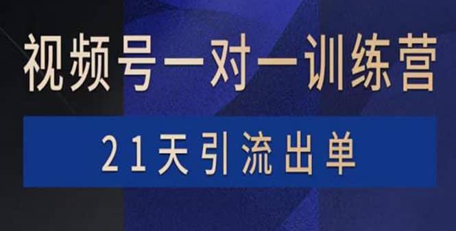 视频号训练营：带货，涨粉，直播，游戏，四大变现新方向，21天引流出单去创吧-网创项目资源站-副业项目-创业项目-搞钱项目去创吧