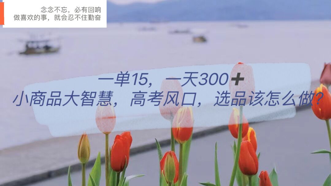 一单15，一天300+，小商品大智慧，高考风口，选品该怎么布局去创吧-网创项目资源站-副业项目-创业项目-搞钱项目去创吧