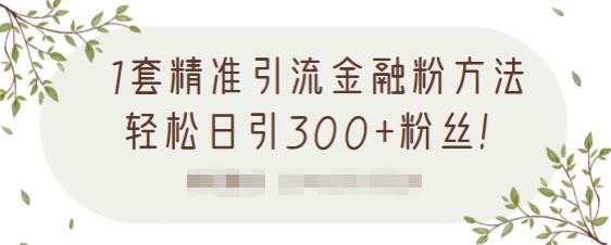 1套精准引流金融粉方法，轻松日引300+粉丝【视频课程】去创吧-网创项目资源站-副业项目-创业项目-搞钱项目去创吧