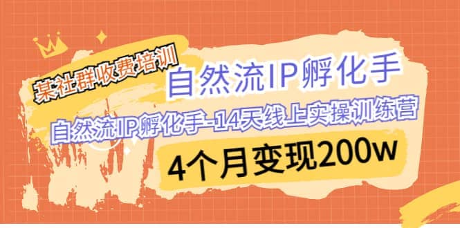 某社群收费培训：自然流IP 孵化手-14天线上实操训练营 4个月变现200w去创吧-网创项目资源站-副业项目-创业项目-搞钱项目去创吧