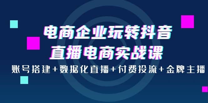 电商企业玩转抖音直播电商实战课：账号搭建+数据化直播+付费投流+金牌主播去创吧-网创项目资源站-副业项目-创业项目-搞钱项目去创吧