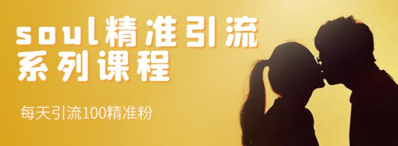 soul精准引流系列课程，每天引流100精准粉去创吧-网创项目资源站-副业项目-创业项目-搞钱项目去创吧