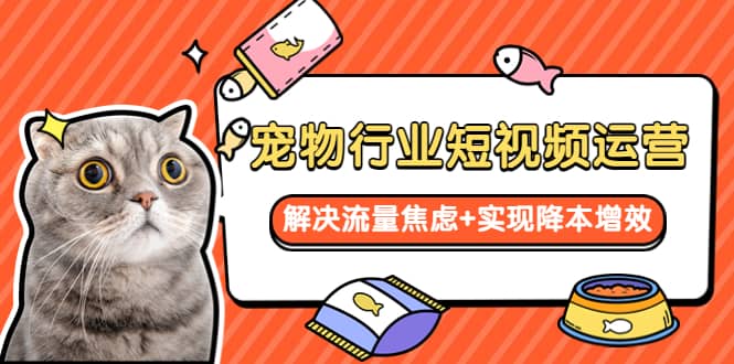 宠物/行业短视频运营 流量增长的一层窗户纸 解决流量焦虑+实现降本增效去创吧-网创项目资源站-副业项目-创业项目-搞钱项目去创吧