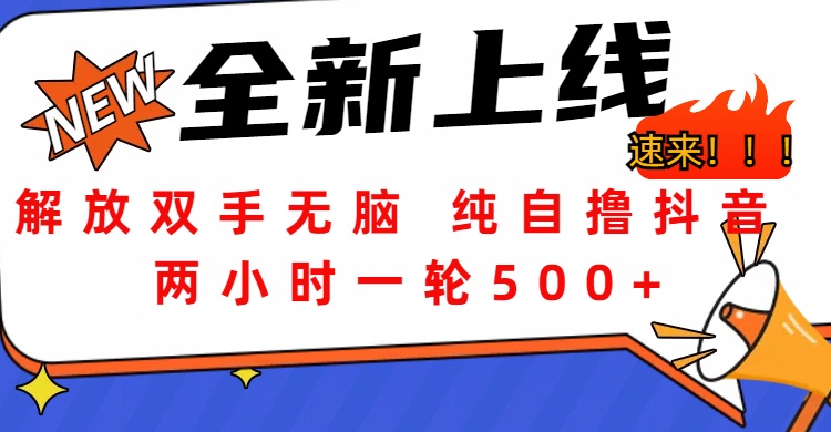 解放双手无脑 纯自撸抖音 两小时一轮500+去创吧-网创项目资源站-副业项目-创业项目-搞钱项目去创吧