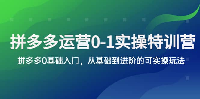 拼多多-运营0-1实操训练营，拼多多0基础入门，从基础到进阶的可实操玩法去创吧-网创项目资源站-副业项目-创业项目-搞钱项目去创吧