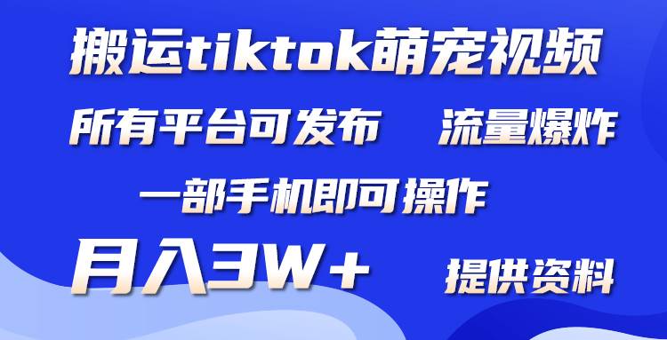 搬运Tiktok萌宠类视频，一部手机即可。所有短视频平台均可操作，月入3W+去创吧-网创项目资源站-副业项目-创业项目-搞钱项目去创吧