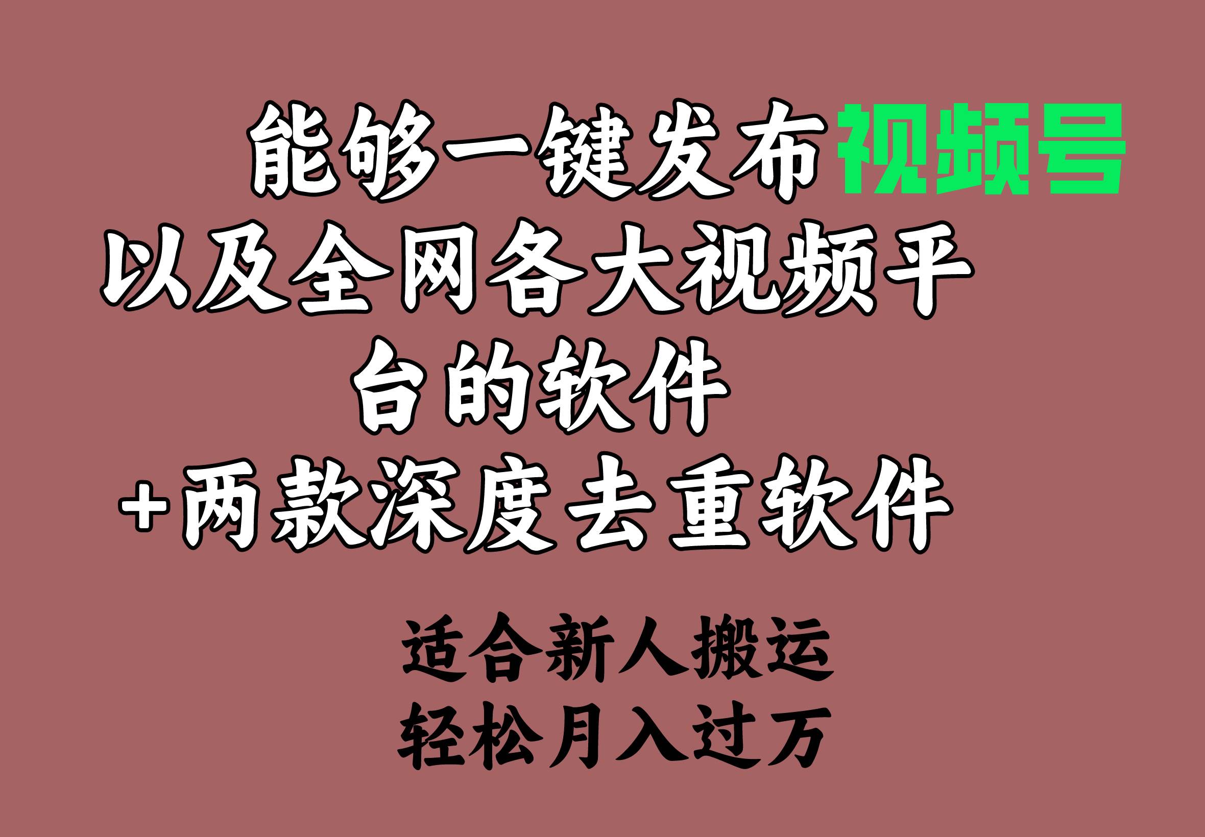 能够一键发布视频号以及全网各大视频平台的软件+两款深度去重软件 适合…去创吧-网创项目资源站-副业项目-创业项目-搞钱项目去创吧